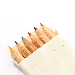 Caixa Lápis Sementes - Delar – foto 5
